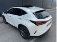 LEXUS NX 2022/9 - 9