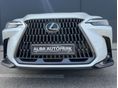 LEXUS NX 2022/9 - 30