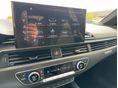 AUDI RS4 2023/2 - 6