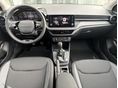 SKODA FABIA 2026 - 5
