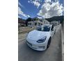TESLA MODEL 3 2020/1 - 5