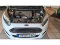 FORD FIESTA 2014/4 - 12