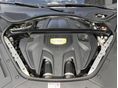 PORSCHE PANAMERA 2020/6 - 29