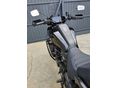 HARLEY-DAVIDSON PAN AMERICA SPECIAL 2021/7 - 11