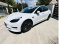 TESLA MODEL 3 2022/12 - 2
