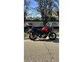 SUZUKI DL 650 2019/9 - 5