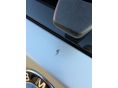 BMW 320 2007/4 - 5