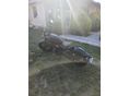 CFMOTO CL-C BOBBER 2025/7 - 4