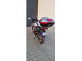 HONDA CBF 600 2008/6 - 9
