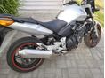HONDA CBF 600 2004/5 - 5