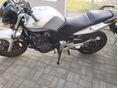 HONDA CBF 600 2004/5 - 7