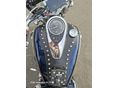 KAWASAKI VN 900 CLASSIC 2006 - 8