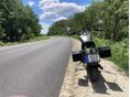 SUZUKI LS 650 SAVAGE 1993 - 2