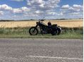 SUZUKI LS 650 SAVAGE 1993 - 4
