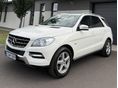 MERCEDES-BENZ ML 250 2012/5 - 1
