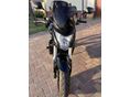 HONDA CB 600 F (HORNET) 2010/4 - 3