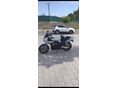 YAMAHA FZS 600 (FAZER) 