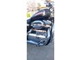 HARLEY-DAVIDSON SPORTSTER 883 2008/5 - 5