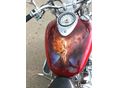 YAMAHA XVS 1100 DRAG STAR 2000/5 - 6