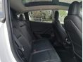 TESLA MODEL Y 2022/9 - 9