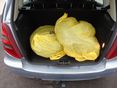 MERCEDES-BENZ A 150 2007/4 - 11