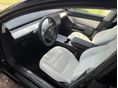 TESLA MODEL 3 2021/3 - 9