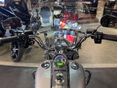 HARLEY-DAVIDSON ROAD KING 2019/3 - 9