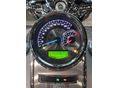 HARLEY-DAVIDSON ROAD KING 2019/3 - 10