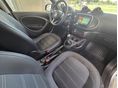 SMART FORFOUR 2016/5 - 15