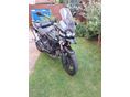 TRIUMPH TIGER 1200 2013/5 - 4