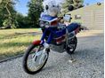 HONDA XRV 650 1989/1 - 2