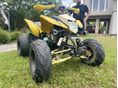 BASHAN BS250S-24 Catbrier 250