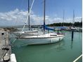 BALATON 31