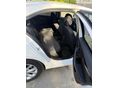 SKODA OCTAVIA 2017/12 - 6