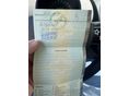 VOLKSWAGEN NEW BEETLE 2000/9 - 16