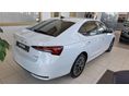 SKODA OCTAVIA 2026/6 - 4