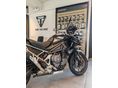 TRIUMPH TIGER 1200 2026/6 - 3