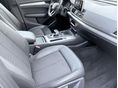 AUDI Q5 2019/2 - 8