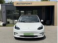 TESLA MODEL 3 2021/6 - 2
