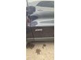 FORD GALAXY 2022/9 - 8