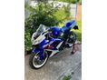 SUZUKI GSX-R 600 2009/12 - 9