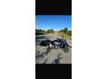 HARLEY-DAVIDSON ROAD KING CLASSIC 