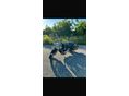HARLEY-DAVIDSON ROAD KING CLASSIC 2002/3 - 11
