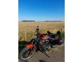 HARLEY-DAVIDSON SPORTSTER 883 R 2012/10 - 2