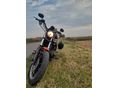 HARLEY-DAVIDSON SPORTSTER 883 R 2012/10 - 6