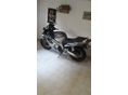 HONDA CBR 600 F4 2005/6 - 6