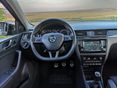 SKODA RAPID 2017/1 - 19