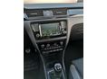 SKODA RAPID 2017/1 - 21