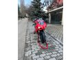 DUCATI PANIGALE V4 2020/2 - 5