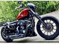 HARLEY-DAVIDSON SPORTSTER 883 IRON 2013/2 - 3